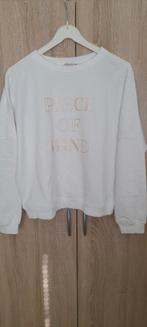 Nieuwe witte esqualo piece of mind trui mt s, Ophalen of Verzenden, Zo goed als nieuw, Wit