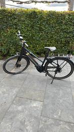 Pegasus Tecaro EVO 10, 56 cm of meer, Ophalen, Gebruikt, Overige merken