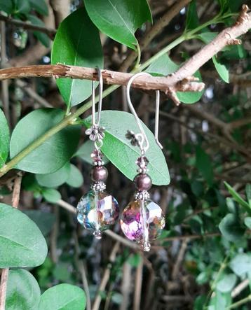 Oorbellen Nanda kristalglas facet-swarovski zilver beschikbaar voor biedingen