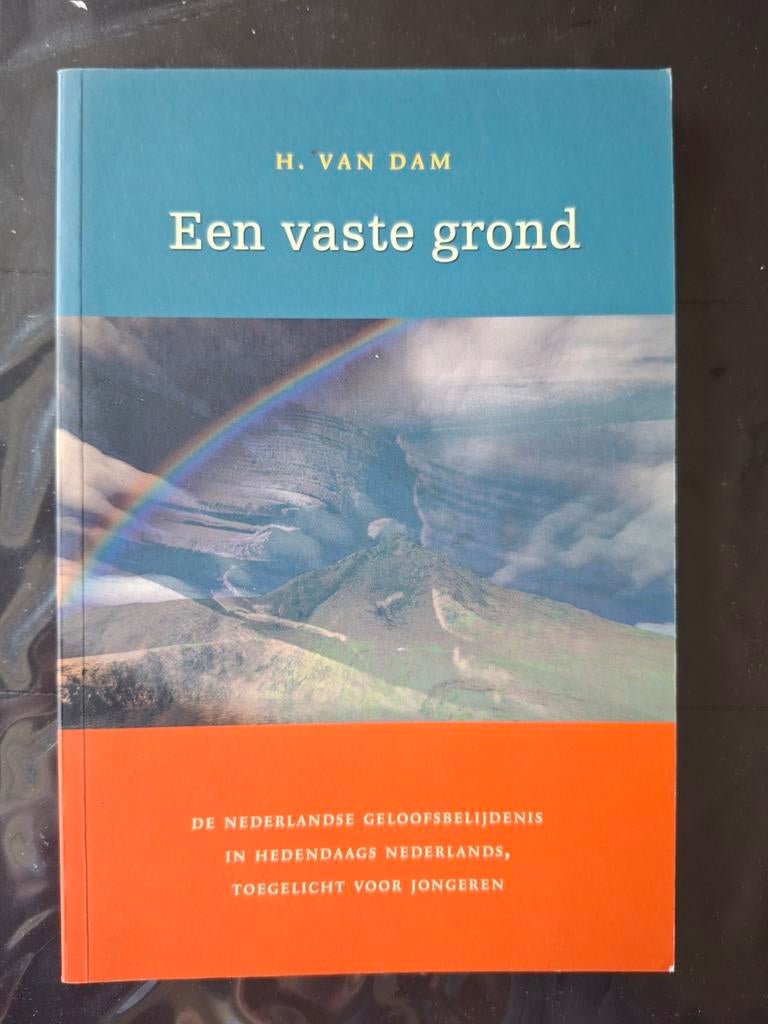 H. van Dam - Een vaste grond, Ophalen of Verzenden, Zo goed als nieuw, H. van Dam