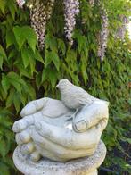 vogel in handen ., Dieren en Toebehoren, Vogels | Hokken en Kooien, Overige materialen, Overige typen, Ophalen of Verzenden, Atw