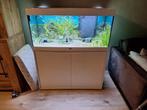 Aquarium aqualantis, Dieren en Toebehoren, Ophalen, Zo goed als nieuw, Gevuld zoetwateraquarium
