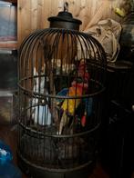 Gave antieke oude grote papegaaien kooi vogelkooi verblijf, Dieren en Toebehoren, Ophalen, Zo goed als nieuw, Metaal, Vogelkooi