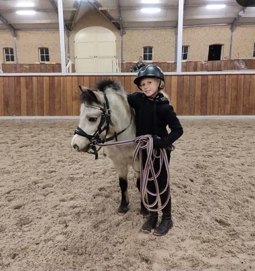Kleine, ondeugende A pony, Dieren en Toebehoren, Pony's, Ruin, A pony (tot 1.17m), Recreatiepony, 3 tot 6 jaar
