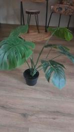 Kunstplant Monstera 55 cm – Nepplant – Gatenplant – Groen In, Ophalen of Verzenden