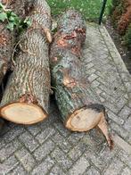 Inlandse eik boomstam kachelhout stookhout circa 2 mtr lang, Tuin en Terras, Haardhout, Minder dan 3 m³, Ophalen, Eikenhout, Stammen