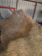 Hooi, kleine pakken, Dieren en Toebehoren, Dierenvoeding, Ophalen, Vee