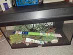 Mooi aquarium + extra's, Dieren en Toebehoren, Vissen | Aquaria en Toebehoren, Ophalen of Verzenden, Zo goed als nieuw, Leeg aquarium