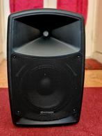 Speaker Audiophony CR12A-COMBO speaker – origineel €800, Ophalen, Gebruikt, P.A.