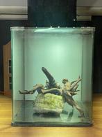Aquarium Dennerle nanocube 30L, Dieren en Toebehoren, Vissen | Aquaria en Toebehoren, Ophalen of Verzenden, Zo goed als nieuw
