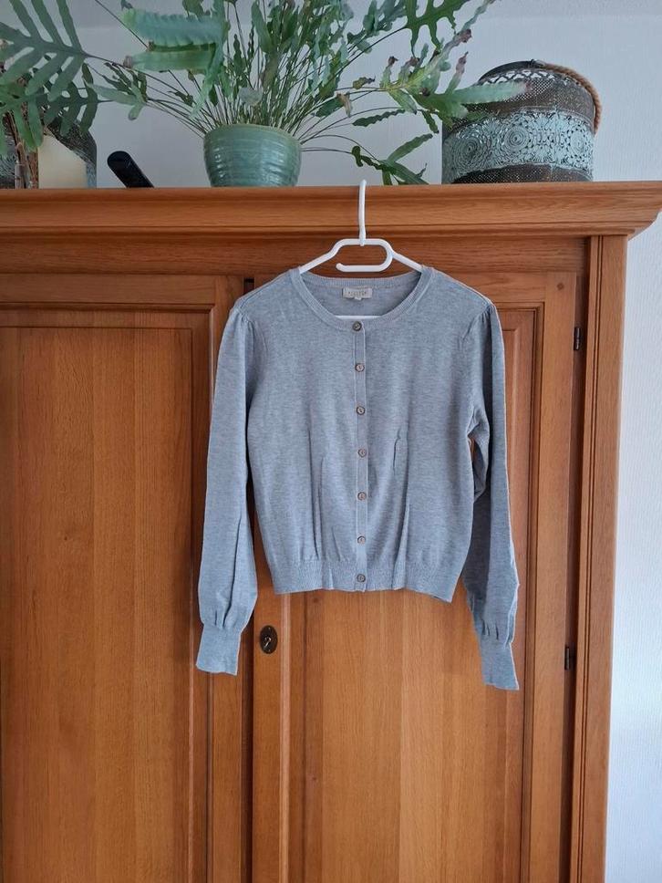 Grijs vestje, Kleding | Dames, Truien en Vesten, Zo goed als nieuw, Maat 42/44 (L), Grijs, Ophalen of Verzenden