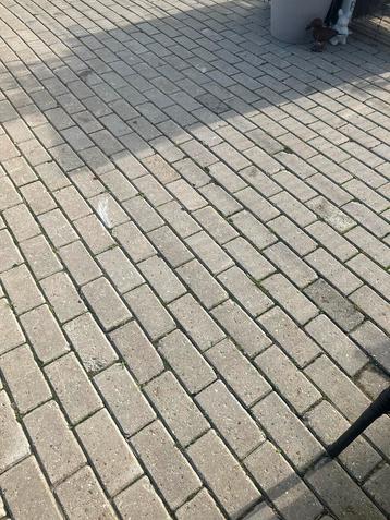 Grijze Betonklinkers - Gratis Afhalen! beschikbaar voor biedingen
