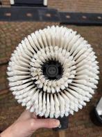 KARCHER PROFESSIONAL roterende wasborstel, Ophalen, Gebruikt, Elektrisch