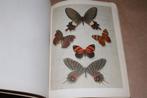 Exotische vlinders in kleurrijke natuurfoto's. Falterschönh, Boeken, Dieren en Huisdieren, Ophalen of Verzenden, Gelezen, Overige diersoorten