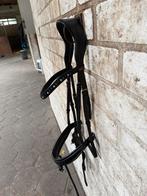 hoofdstel full, Dieren en Toebehoren, Ophalen of Verzenden, Zo goed als nieuw, Dressuur