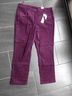 nieuwe paarse broek maat 44 van Witteveen, Ophalen, Paars, Maat 42/44 (L), Nieuw