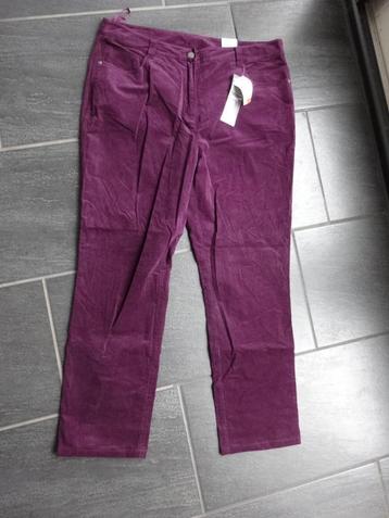 nieuwe paarse broek maat 44 van Witteveen beschikbaar voor biedingen