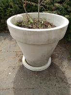 Bloempot XL wit dubbelwandig kunststof met schotel en vijg, Ophalen, Kunststof, Gebruikt, 40 cm of meer