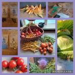 Moestuinzaden - biologisch geteeld, Ophalen of Verzenden, Volle zon