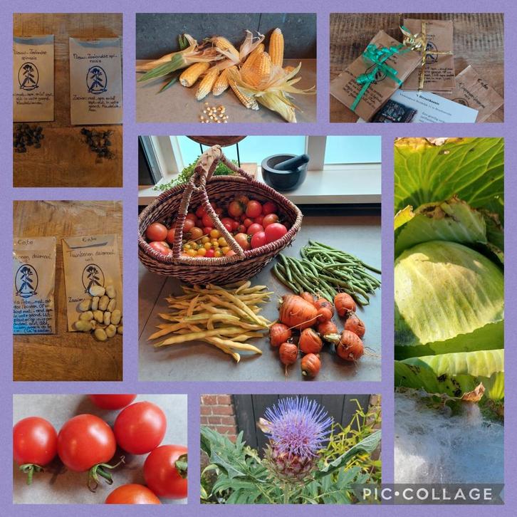 Moestuinzaden - biologisch geteeld, Tuin en Terras, Bloembollen en Zaden, Volle zon, Ophalen of Verzenden