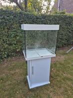 Jewel Aquarium 120L incl meubel, Ophalen, Gebruikt, Leeg aquarium