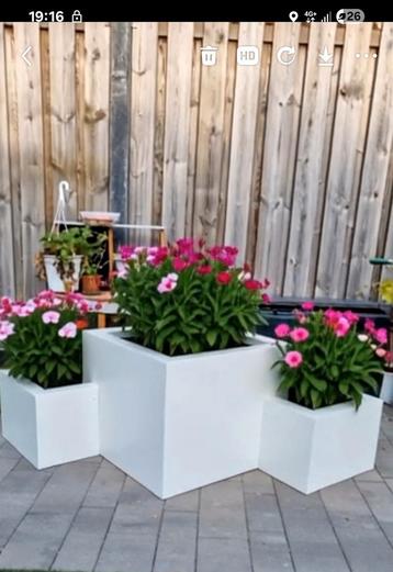 Stalen Plantenbak  - Hoog/Laag beschikbaar voor biedingen