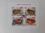 163 Kikker, Kikkers, Ophalen of Verzenden, Dier of Natuur