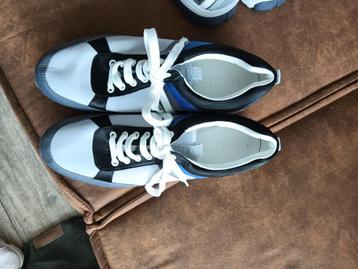 Heren sneakers 43en 44 beschikbaar voor biedingen