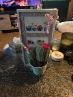 Gehaakt pakketje cactus, Verzenden, Nieuw, Haken, Overige typen