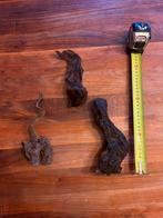 Aquarium hout, Dieren en Toebehoren, Ophalen of Verzenden, Zo goed als nieuw, Plant(en), Steen of Hout