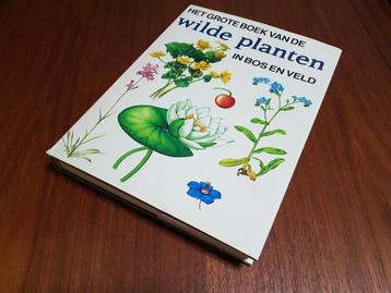 Het GROTE BOEK van de WILDE PLANTEN IN BOS EN VELD beschikbaar voor biedingen