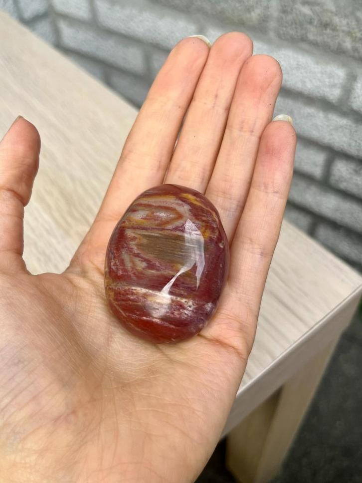 Versteend Hout Edelsteen/Mineraal, Verzamelen, Mineralen en Fossielen, Mineraal, Ophalen of Verzenden