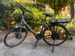 Elektrische fiets Giant - onderhoud nodig, Fietsen en Brommers, Ophalen, Gebruikt, 30 tot 50 km per accu, Giant