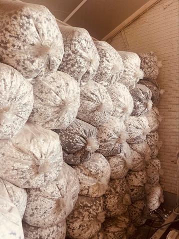  kruipruimte isoleren DEZE MAAND €10, per zak beschikbaar voor biedingen