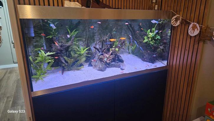 Oase 400 aquarium, Dieren en Toebehoren, Vissen | Aquaria en Toebehoren, Zo goed als nieuw, Gevuld zoetwateraquarium, Ophalen of Verzenden