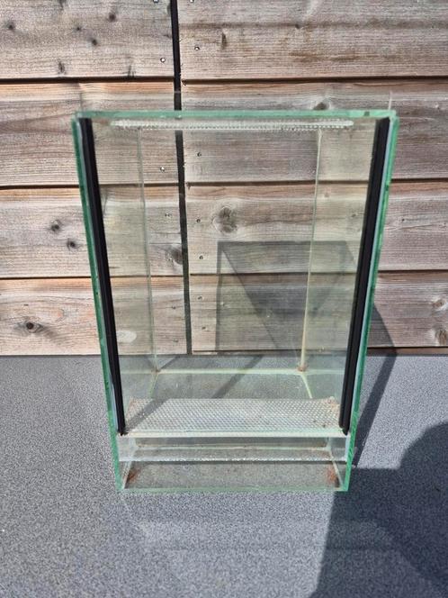 Drie formaten terarria te koop!, Dieren en Toebehoren, Reptielen en Amfibieën | Toebehoren, Gebruikt, Terrarium of Paludarium
