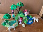 Mooi elfen set playmobil, Kinderen en Baby's, Speelgoed | Playmobil, Ophalen of Verzenden, Zo goed als nieuw