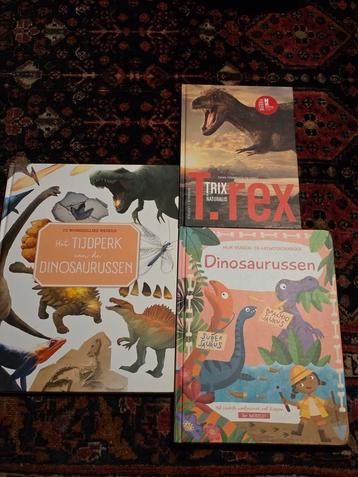 3 Dinosaurus Boeken - Educatief en Leuk! beschikbaar voor biedingen