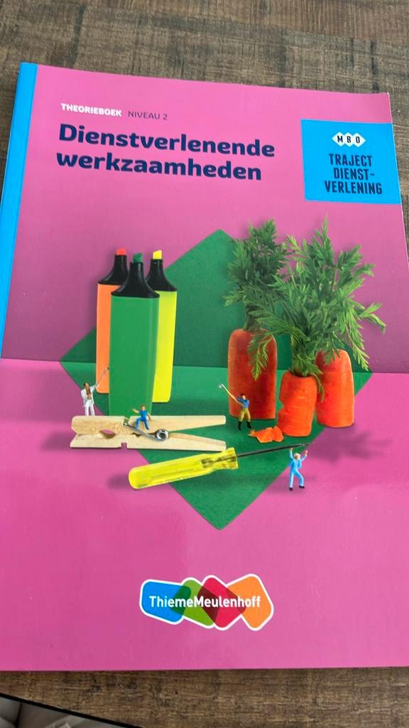 Dienstverlenende  theorieboek, Boeken, Schoolboeken, Nieuw, Nederlands, Overige niveaus, Ophalen of Verzenden