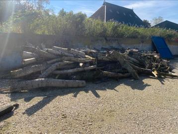 Haardhout beschikbaar voor biedingen