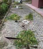 Tuin tegels schoonmaken reinigen, Tuin en Terras, Ophalen, Beton, 10 m² of meer, Terrastegels