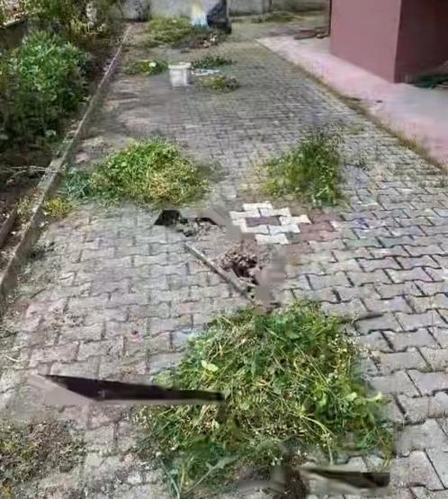 Tuin tegels schoonmaken reinigen, Tuin en Terras, Tegels en Klinkers, Terrastegels, Beton, 10 m² of meer, Ophalen