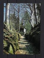 427 Zwitserland, Küssnacht am Rigi, Ophalen of Verzenden, Ongelopen, Overig Europa