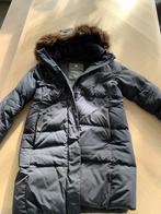 Superdry Winterjas dames maat 42/L, Maat 42/44 (L), Ophalen of Verzenden, Zo goed als nieuw