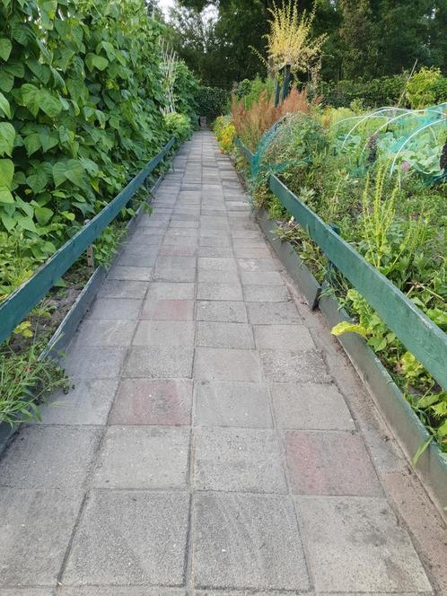 Volkstuin ,petcelen te huur, Tuin en Terras, Overige Tuin en Terras, Zo goed als nieuw, Ophalen of Verzenden