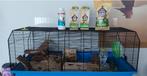 Grote hamster / konijnenkooi, Dieren en Toebehoren, Knaagdieren en Konijnen | Hokken en Kooien, Minder dan 60 cm, Kooi, Minder dan 75 cm