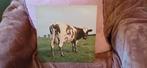 LP Pink Floyd - Atom Heart Mother, Cd's en Dvd's, Vinyl | Rock, Ophalen, Gebruikt, 12 inch, Poprock
