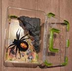 Diverse speelgoed, leesboekjes puzzels enz, Kinderen en Baby's, Speelgoed | Overig, Ophalen of Verzenden, Zo goed als nieuw, Jongen of Meisje