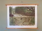 Oude schoolplaat ‘in sloot en plas’ NIEUW, Antiek en Kunst, Antiek | Schoolplaten, Ophalen of Verzenden, Natuur en Biologie