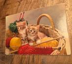 Twee rode kittens in een mandje met breiwerk, Verzenden, Ongelopen, Hond of Kat